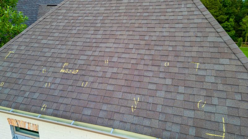 Asphalt Roof Inspection in Elyria, OH