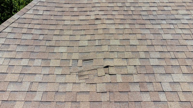 Asphalt Roof Inspection in North Ridgeville, OH