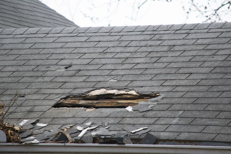 Asphalt Roof Leak Repair in Elyria, OH