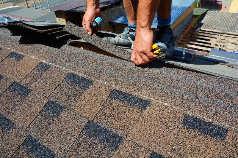 Asphalt Roof Repair in Avon Lake, OH