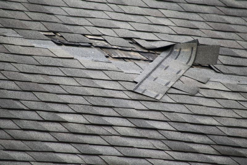 Asphalt Roof Repair in Wellington, OH