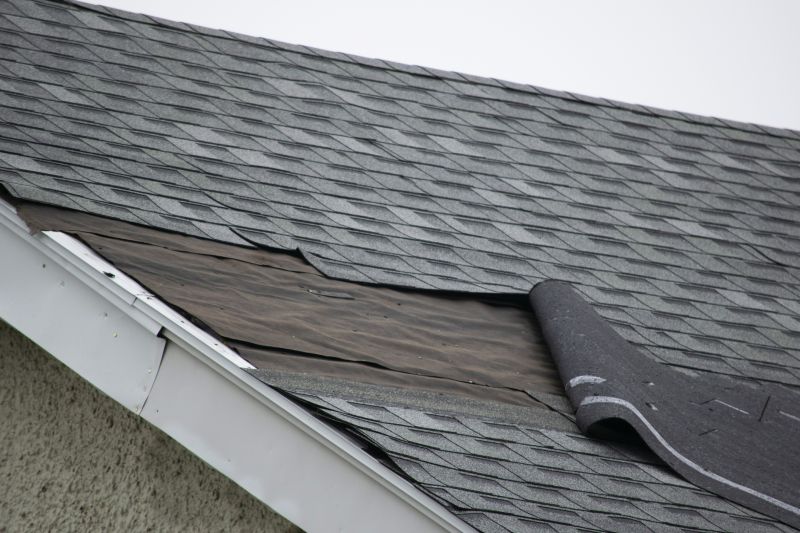 Asphalt Shingles Repair in Valley City, OH