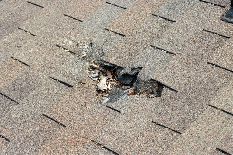 Damaged Roof Replacement in Amherst, OH