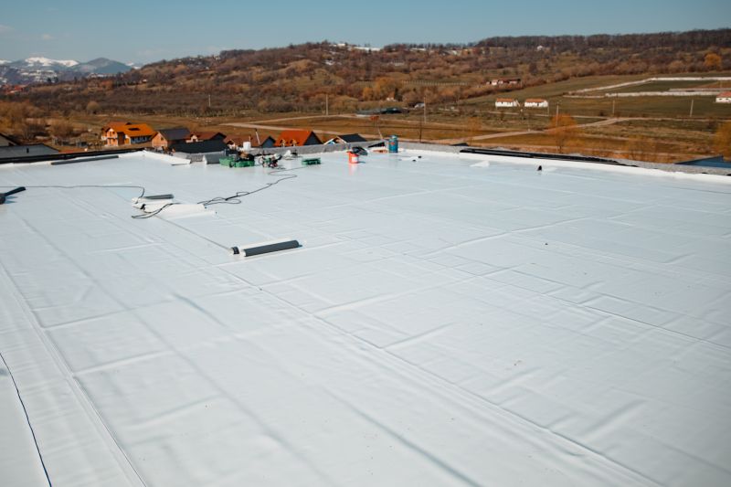 Epdm Roof Inspection in Lorain County, OH