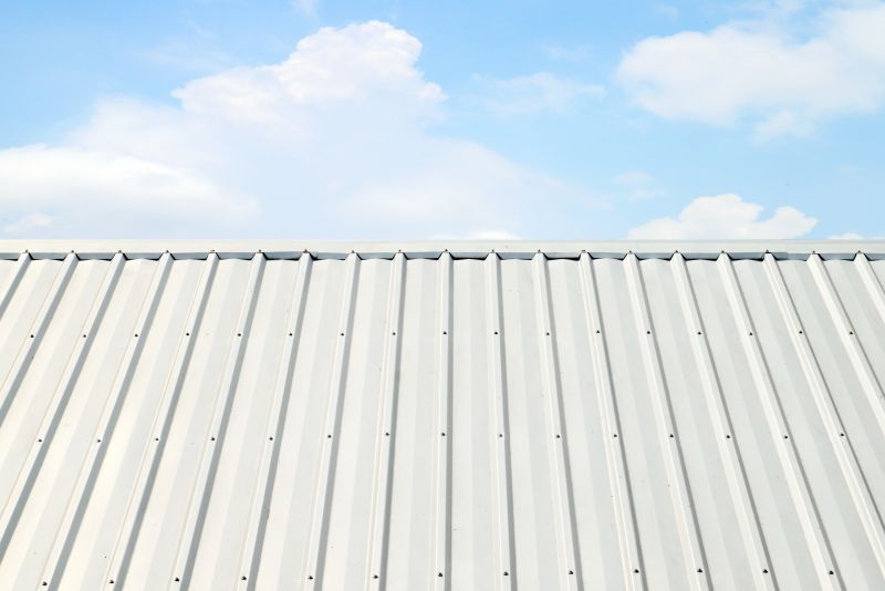 Metal Roof Coating Service in Lorain County, OH