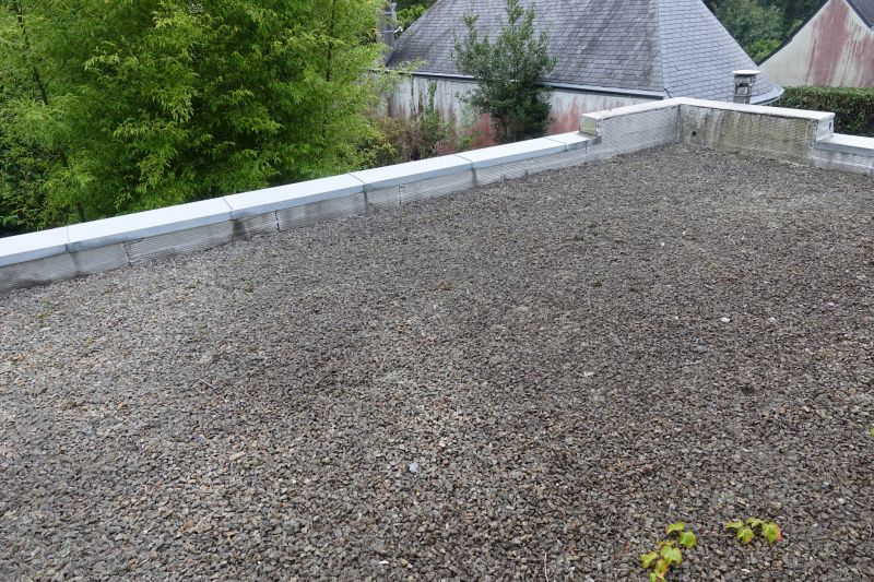 Tar And Gravel Roof Repair in Broadview Heights, OH