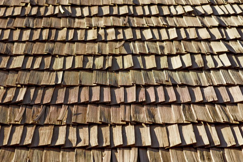 Wood Shake Roof Replacement in Lorain, OH