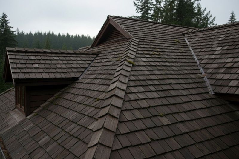 Wood Shake Roof Replacement in North Ridgeville, OH
